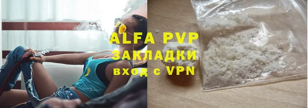 крисы Магадан
