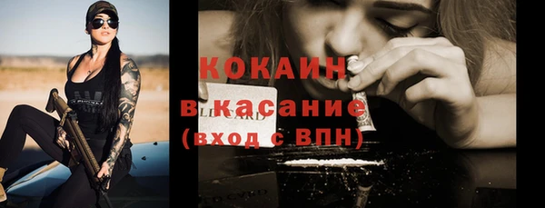 крисы Магадан