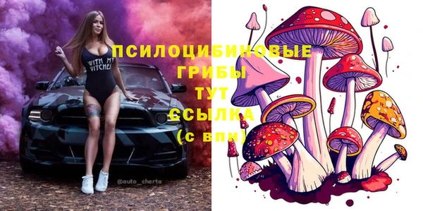 крисы Магадан