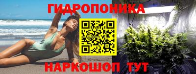 каннабис Аргун