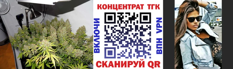 цены наркотик  Аргун  ТГК жижа 
