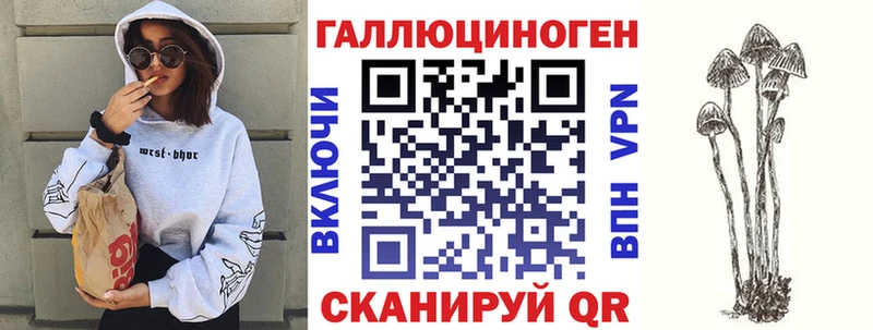как найти закладки  Аргун  мега маркетплейс  Галлюциногенные грибы мухоморы 