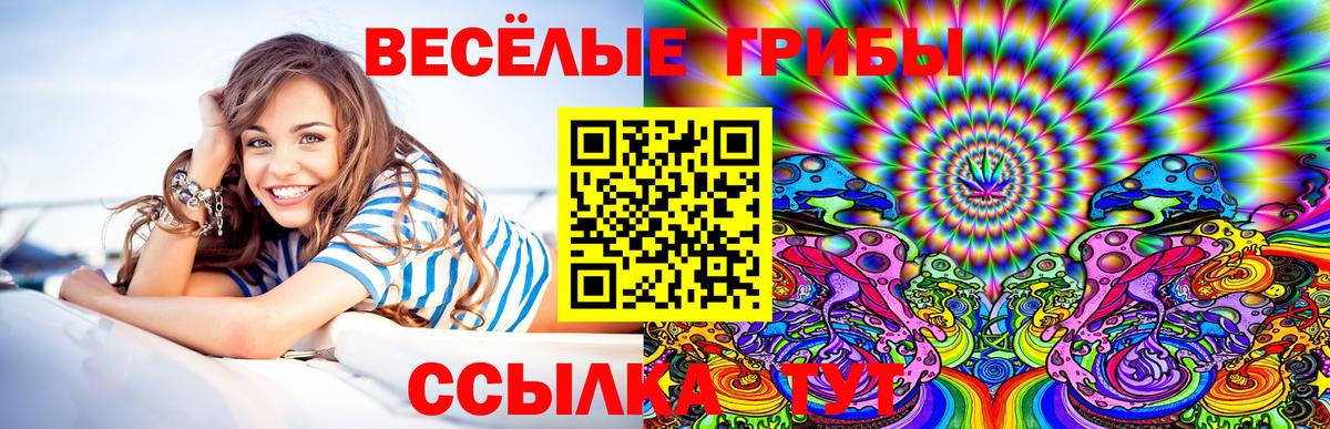 Псилоцибиновые грибы Cubensis Аргун