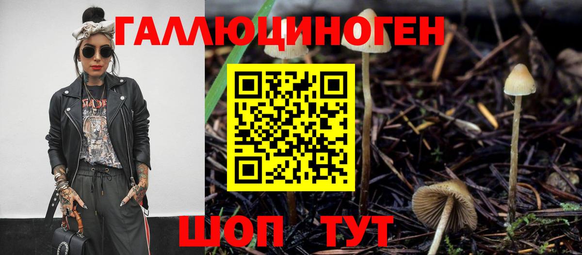 Псилоцибиновые грибы GOLDEN TEACHER  Аргун 