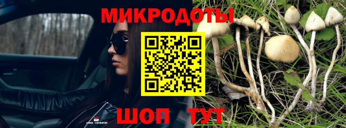Аргун  Галлюциногенные грибы Psilocybe  Псилоцибиновые грибы Magic Shrooms  Вход с VPN 